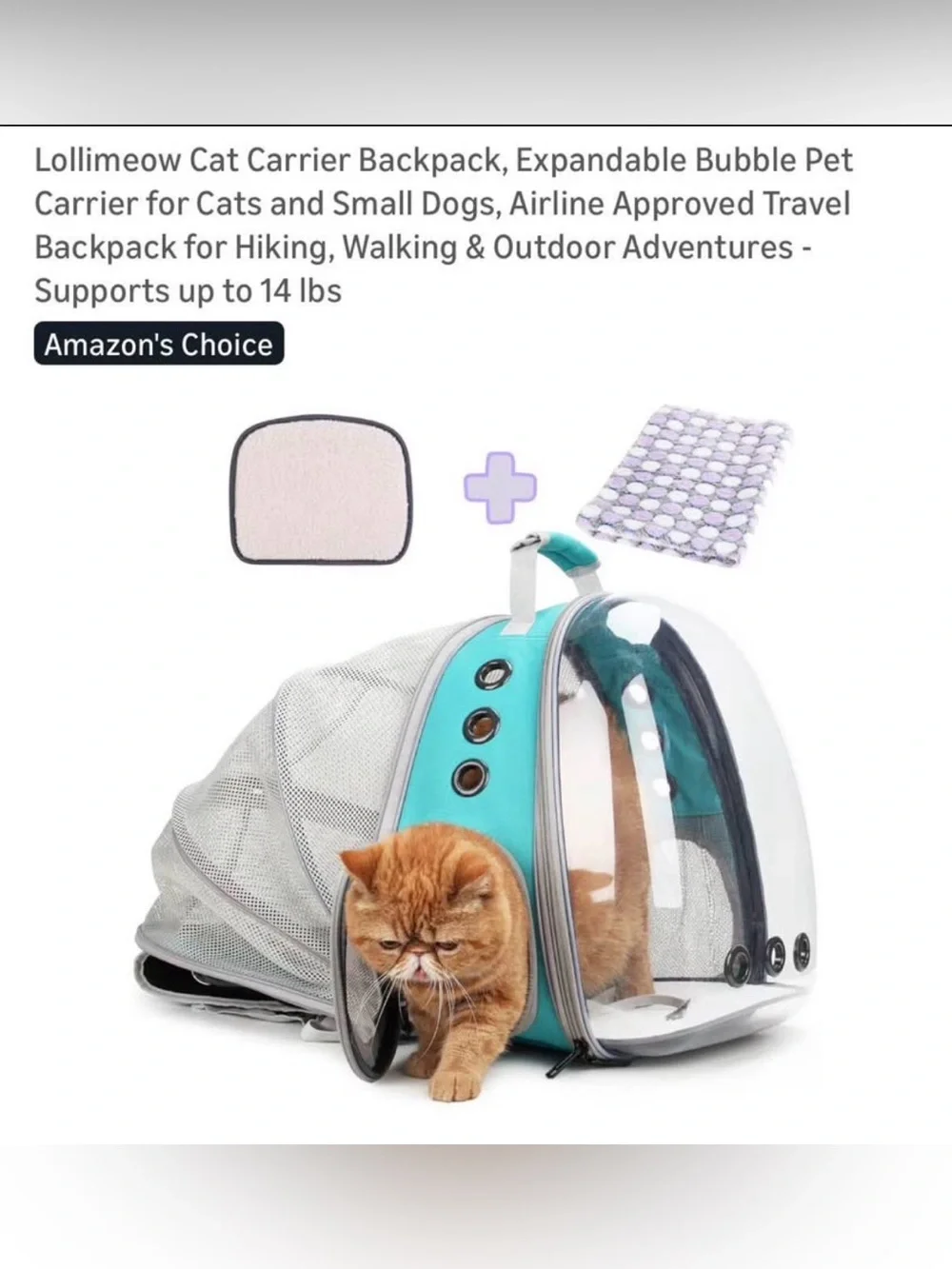 Lollimeow Expandable Cat Bubble Backpack Carrier